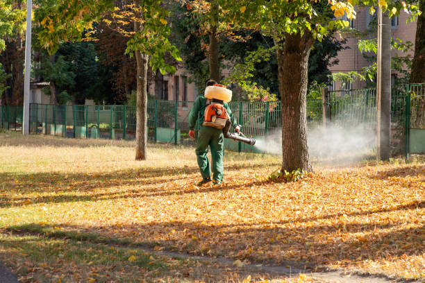 Professional Pest Control in Shrewsbury, PA